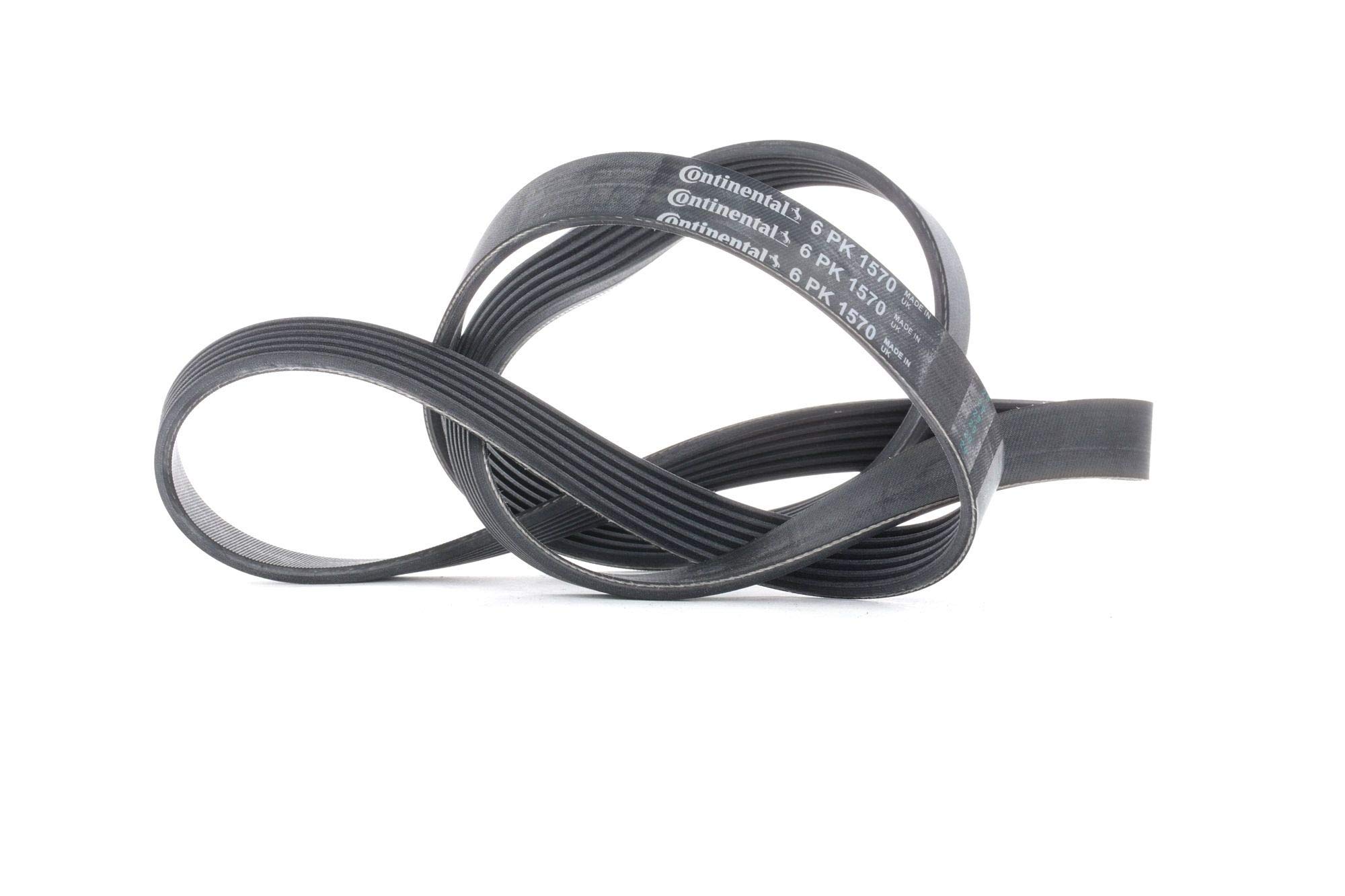 Contitech 6PK1570 V-Ribbed Belt