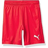 PUMA Unisex Youth TeamGoal 23 Knit Shorts, Red, M