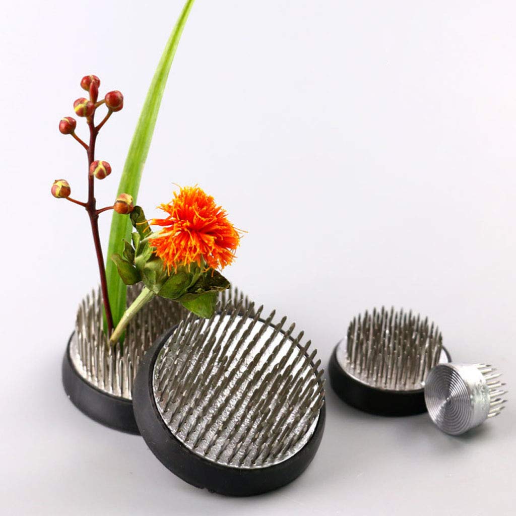 Buy Evalue G4Round Ikebana Kenzan Spiky Flower Frog Arrangement Base