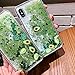 LUVI for iPhone 7 Plus/iPhone 8 Plus Liquid Case Funny Shiny Stars Sparkle Green Quicksands Shell Flowing Floating Ultra Thin Clear Bumper Fruit Avocado Glitter Cover Fitted for iPhone 7 Plus
