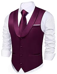 Barry.Wang Mens Dark Purple Vest Formal/Leisure