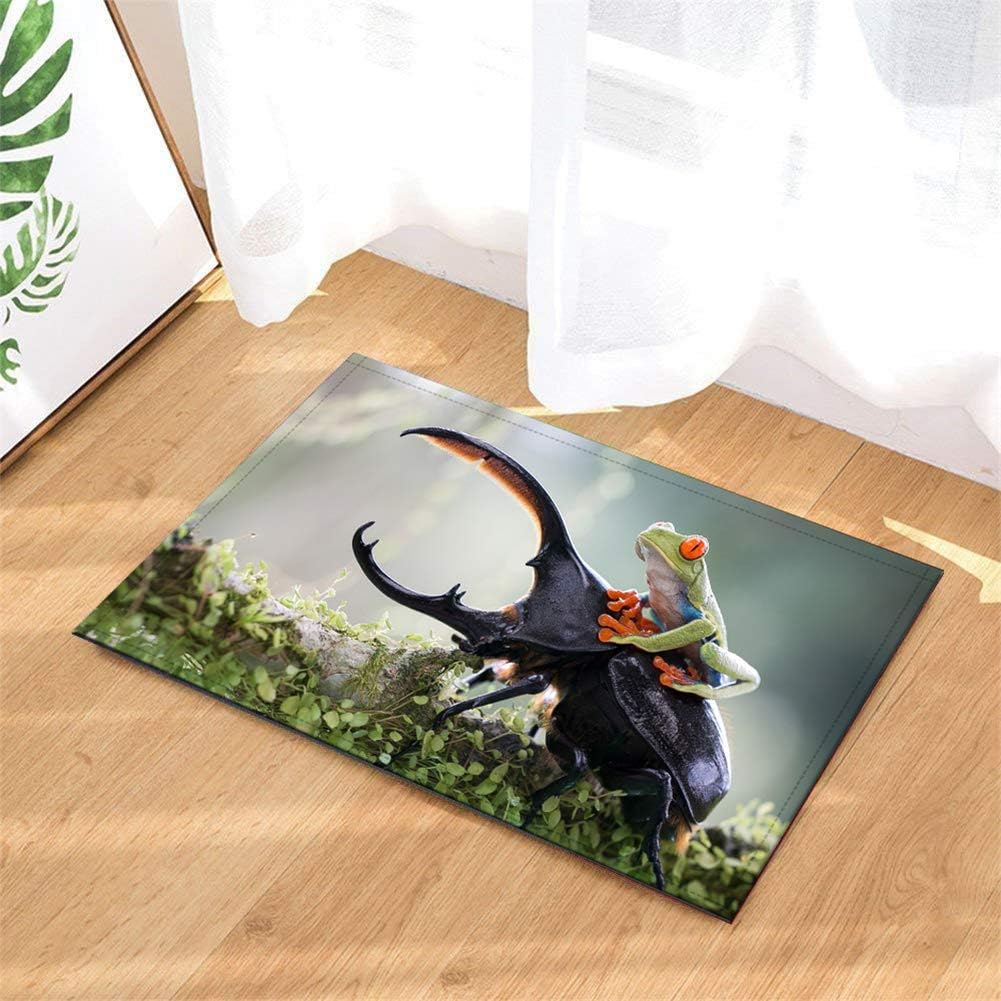 LiYan Decoración hogareña.Una Rana Montando Un Escarabajo. Tamaño De La