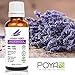 Lavender Essential Oil (French) 30 ml (1 fl. oz.) - GCMS Tested, 100% Pure and Undiluted