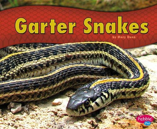 Garter Snakes Library Binding – Picture Book, 1 July 2013