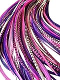 Feather Hair Extensions, 100% Real Rooster Feathers, Long Natural and Pink Purple Colors, 20 Feathers with Bonus FREE Beads and Loop Tool Kit GIRLY