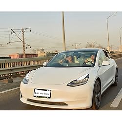 oFloral Wah Gwan Aluminum Alloy License Plate Frame