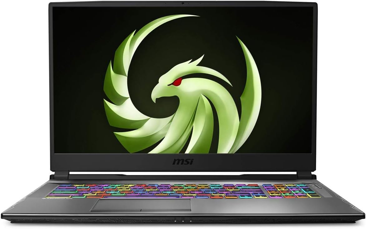 MSI Alpha 17 Gaming Laptop: 17.3