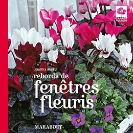 Rebords de fenêtres fleuris