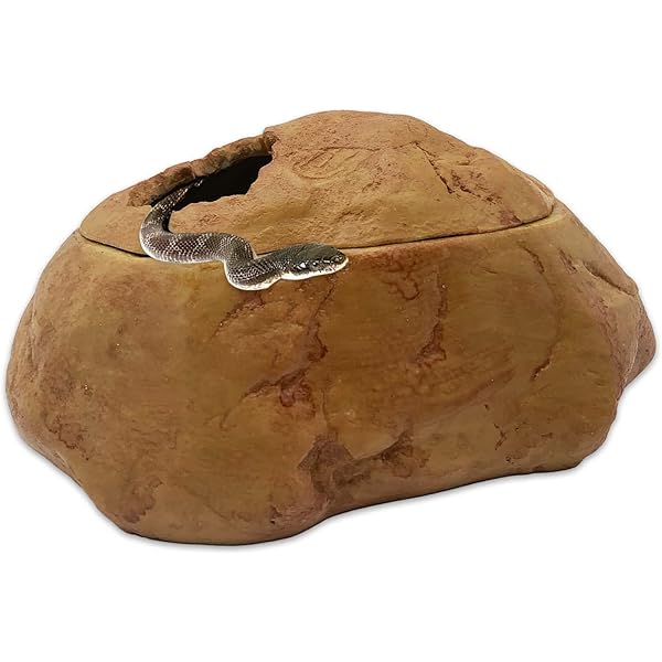 cheap snake accessories