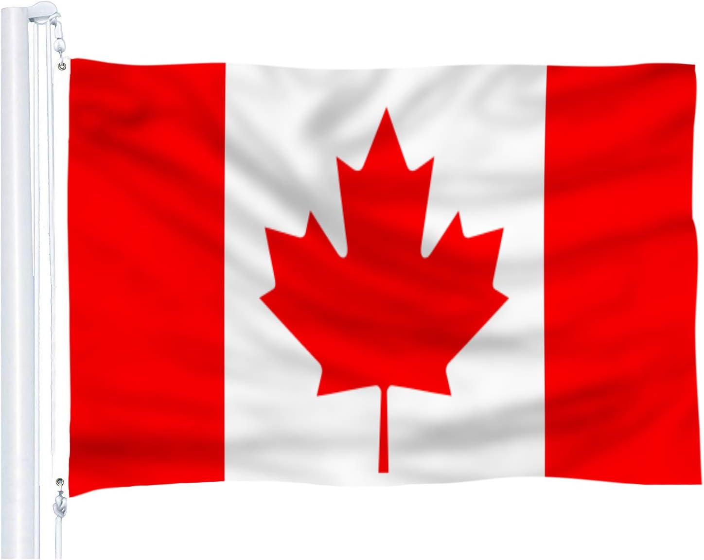 DFLIVE Canada Flag 3x5 Ft Thicker Polyester The Canadian National Banner with Brass Grommets