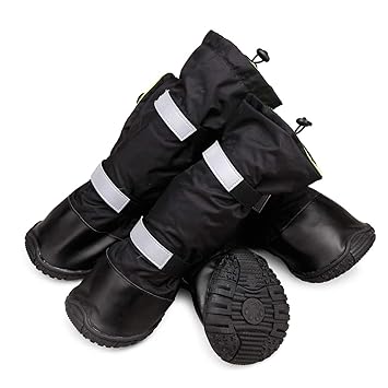 boots to stop dog licking paws