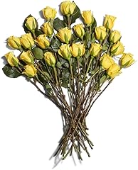 Floral, Yellow Double Dozen Roses