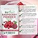Biofinest Raspberry Juice Powder - 100% Pure Freeze-Dried Antioxidants Superfood - USDA Organic Vegan Raw Non-GMO - Boost Digestion Weight Loss - For Smoothie Beverage Blend (4 oz Resealable Bag)
