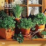 2017 Monthly Wall Calendar - Herbs