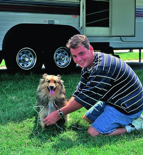 Camco 42572 12" Spiral Anchor Tie-Out with Ring