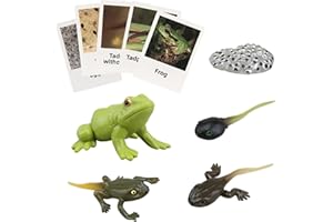 MIKNEKE Montessori Frog Life Cycle Flash Cards, Plastic Insects Tadpole to Frog Kit Toy, Realistic Animal Figurines