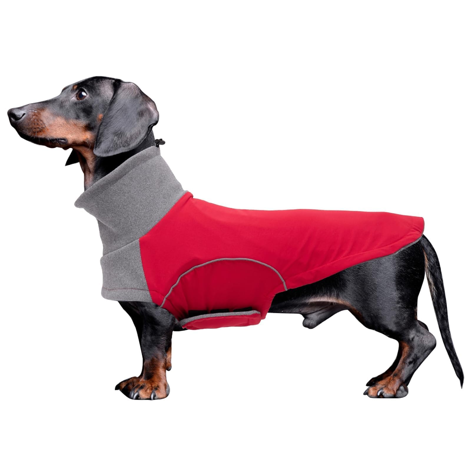 babepet Dachshund Winter Coat,Waterproof Miniature Dachshund Clothes，Small Dog Coat Jacket,Dachshund Jumper with Turtle Neck,Pet Garment Ideal for Walking,Hiking,Camping-Red-XS — image 1