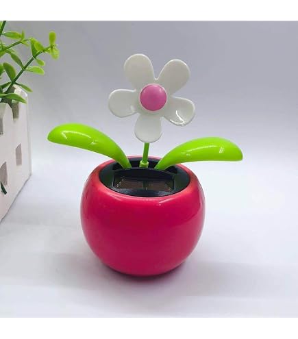 growing a pineapple plant indoors Pineapple Plant main image 1