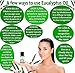 Eucalyptus Essential Oil Organic 100% Natural Pure Undiluted Therapeutic Grade Sinus Infection, Acute Bronchitis Medicine, Clear Dental Plague Free Guide Books Aromatherapy & Massage Therapy