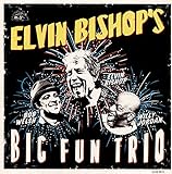 ELVIN BISHOPS BIG FUN TRIO                         image