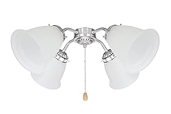 Aspen Creative Frosted 23076-4 Transitional Style