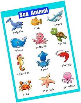 Amazon Com Santsun Educational Preschool Posters Educational