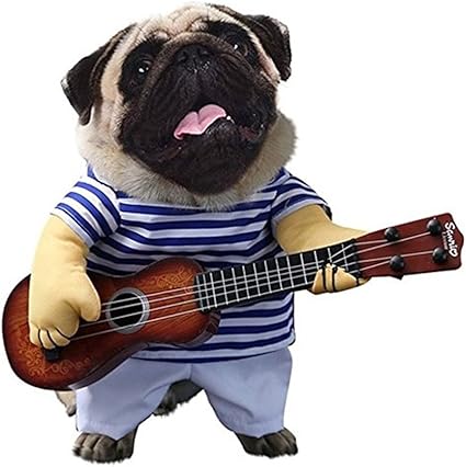 Morbuy Costume Pour Animaux De Compagnie Costume Funny Chat