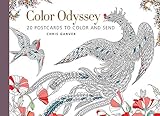Color Odyssey (Postcard Book): 20 Postcards to Color and Send by