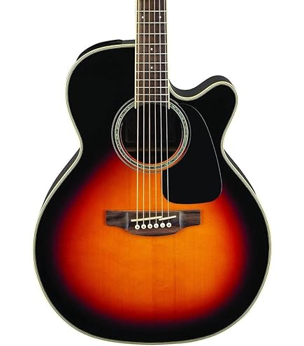 Amazon.com: Takamine 6 String Acoustic-Electric Guitar