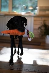 Petface Christmas Carrot Plush Dog Toy with Built-In Squeaker Large Pack of 1 view 5