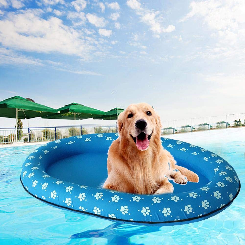 cama para perro flotante