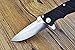 Enlan Bee EL-01A Classic Folding Knife with Drop Point Stainless Steel Blade and G10 Handle Flip Open Outdoor Tactical Pocket Knife with Clip (BlackStain)