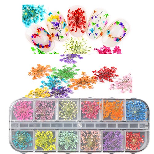 3D Nail Art Accessories Kits 12 colors Natural Real Dry Flower, Nails Rhinestone Pearl Metal Studs Wheel, Multicolor Striping Tape Line, Nail Stickers Decal Decoration Set with Tweezers (SET19A)