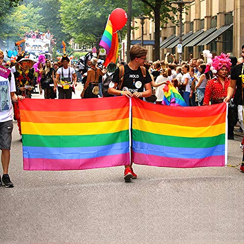 DomeStar Rainbow Flag, 3 x 5 Feet Gay Pride Flag Rainbow Gay Flag Gay Pride Banner Flags Rainbow Pride Flag with Pole
