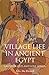 Village Life In Ancient Egypt: Laundry Lists and Love Songs by A. G. McDowell