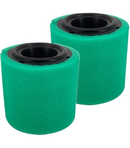 KOH Excellent catalytic performance of (FC)P-(NFC)S/NF catalyst for