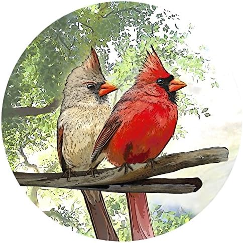 Glass Door Sticker Decals – 2 Per Pack - Printed on Both Sides - Windows, Doors, Patio, Sliding, & Shower, Removable and Repositionable. Dogs, Cats, Pets, Kids, Guests, Elderly, Bird Alert