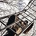 Rivers Edge RE651 Ladder Stand Lockdown Tall, Black