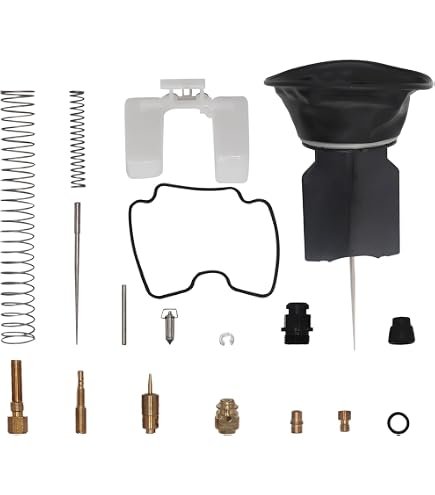 Amazon.com: Carburetor Rebuild Repair Kit for Honda Rancher 400