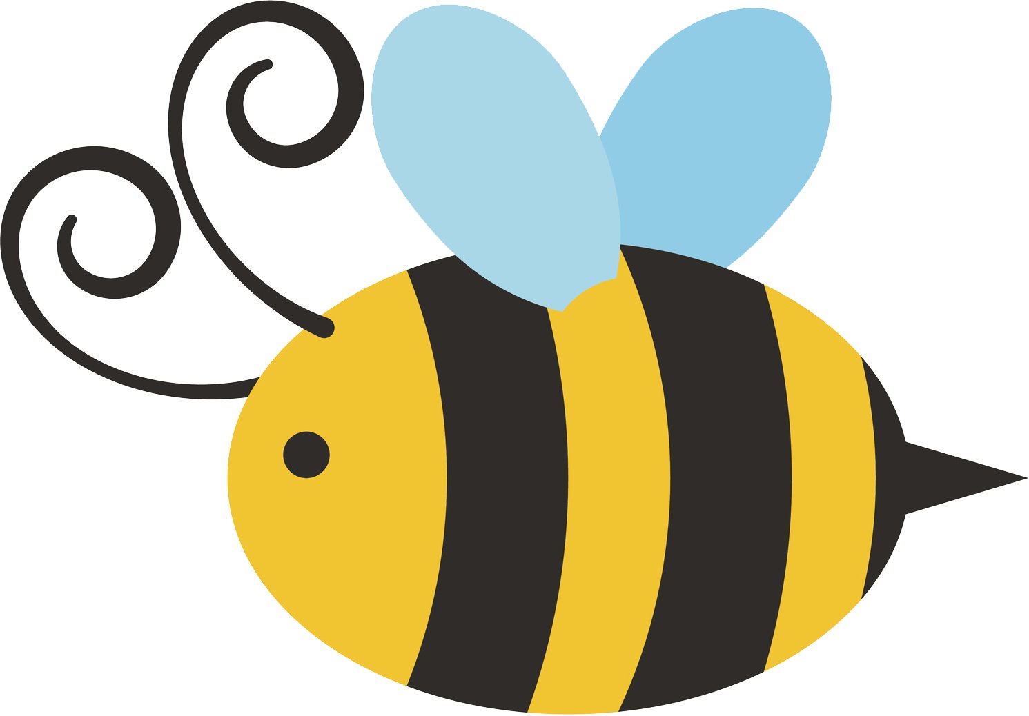 Image result for bee