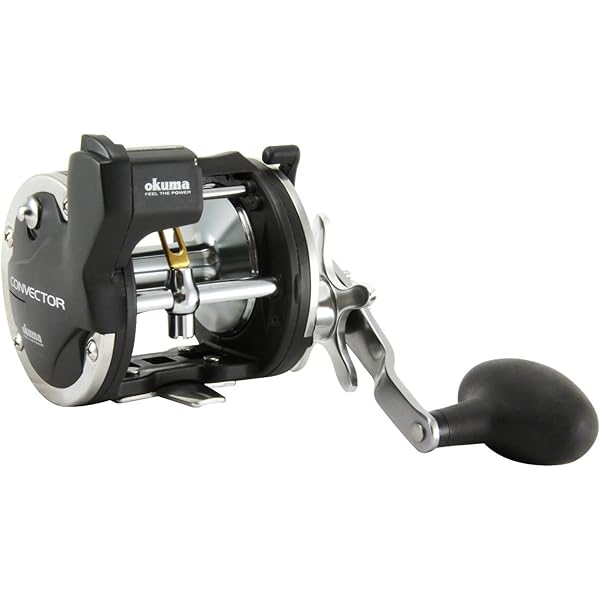 Amazon.com: Penn 330 Gti