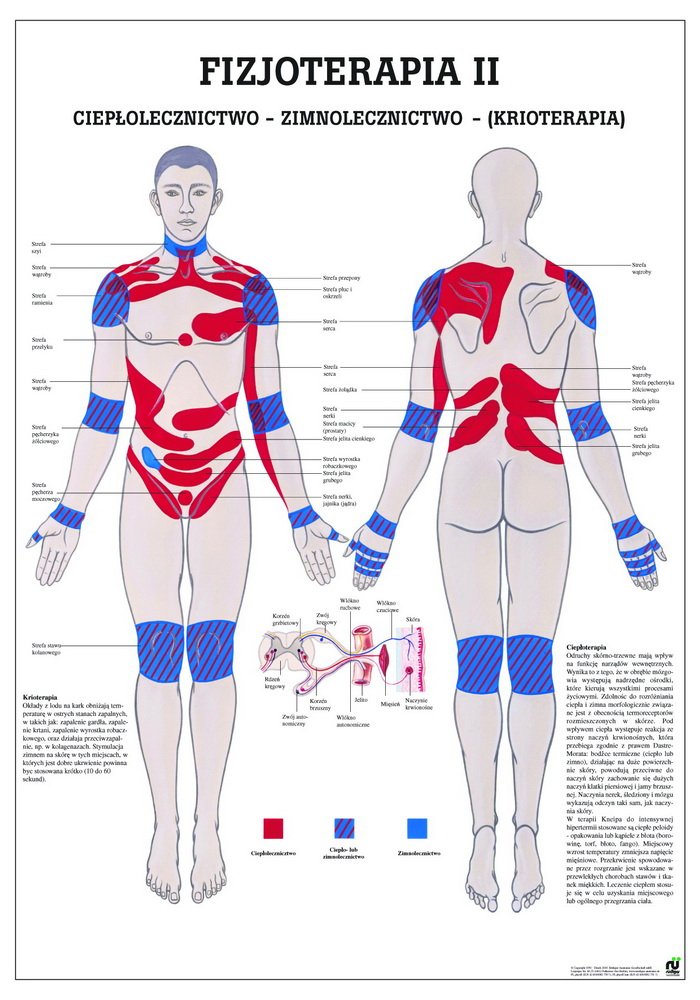 Ruediger Anatomie PL_PHYS2 Cieplolecznictwo-Zimnolecznictwo-Krioterapia Board Polish, 70 cm x 100 cm, Paper