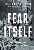 Fear Itself: The New Deal and the Origins of Our Time