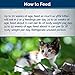 Blue Buffalo Wilderness High-Protein Grain-Free Wet Kitten Food, Chicken Paté Recipe, 3-oz Cans, 24-Count
