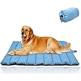 coleman dog bed