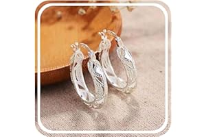 MDNZCTH Sterling Silver Earrings for Women Colorful Hoop Earrings Birthday Wedding Earrings Gifts for Her Him Mother Lover