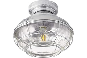 QUORUM INTERNATIONAL Quorum 1974-9 Restoration LED Fan Light Kit from Windmill Collection in Pewter, Nickel, Silver Finish,