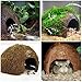 SunGrow Coco Hut for Pets, 5x3 Inches, Smooth-edged Coconut Shell, Compact, Spacious, Perfect Hideout for Your Fish, 1 Piece