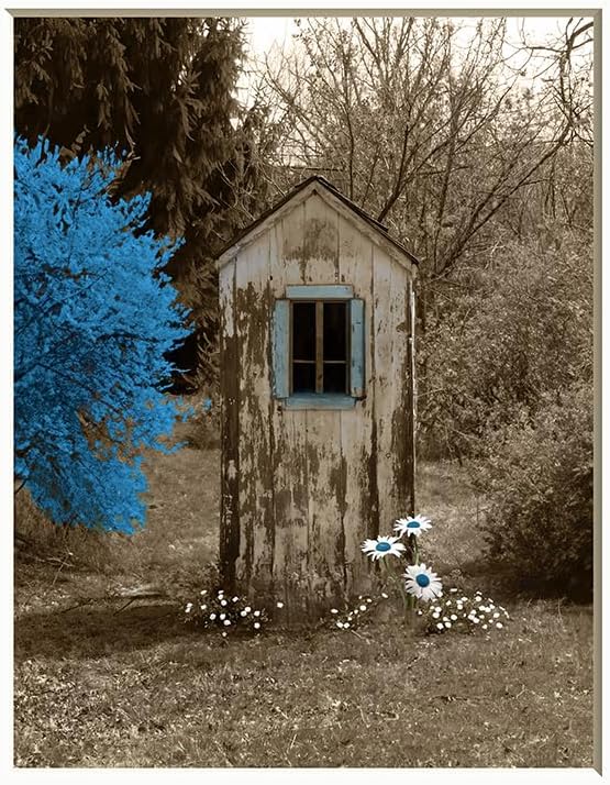 Photographs - Bathroom Wall Decor, Rustic Modern Farmhouse Outhouse Daisy Flowers Photography Blue Brown Wall Art (8x10 photo with 11x14 mat, Blue)