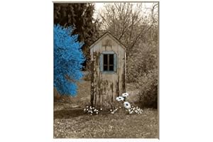 LITTLEPIECREATIONS Bathroom Wall Decor, Rustic Modern Farmhouse Outhouse Daisy Flowers Photography Blue Brown Wall Art (8x10 photo with 11x14 mat, Blue)